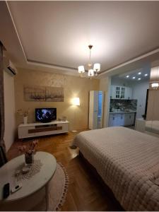 TV a/nebo společenská místnost v ubytování Princess apartman