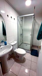 a bathroom with a shower and a toilet and a sink at A paso del centro, mini cabaña cómoda in Puerto Natales