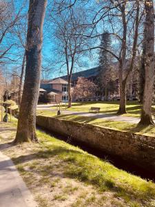 バート・オルプにあるFamilienapartmentの草の中のベンチと木々のある公園