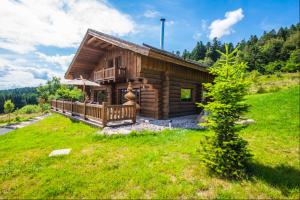une cabane en rondins sur une colline avec un champ vert dans l'établissement Chalet Serenity, Liézey - Gérardmer 9p - Spa, à Liézey