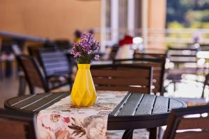 Gallery image of Хотел "Божур" in Mineralni Bani