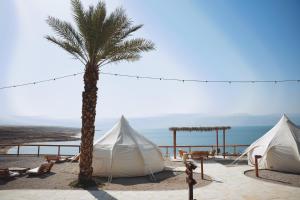 two tents and a palm tree next to the ocean at Glamping -420 in Kalia