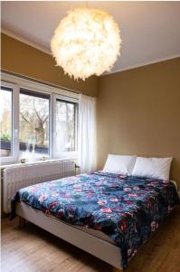 una camera da letto con un letto e un lampadario di Maison modernisée au caractère 70ies a Herstal