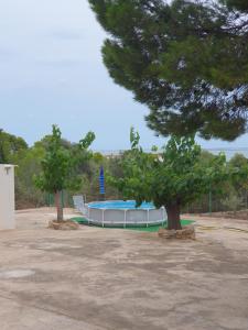 a large pool in a park with two trees at Casa Estela in Alcanar