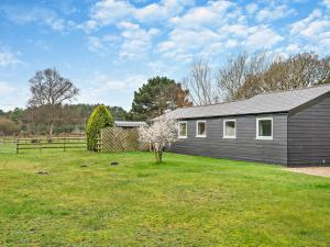 een grijs huis met een boom in een tuin bij 2 Bed in St. Leonards 94272 in Saint Leonards