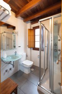 a bathroom with a toilet and a sink and a shower at Apartamentos Casa Miño in Pola de Somiedo