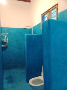 a blue bathroom with a toilet and a blue wall at NEW ORANGE APARTMEnt in Jambiani