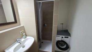 a bathroom with a sink and a washing machine at 2 Zimmer Monteurwohnung mit Terasse Küche Bad in Uelzen