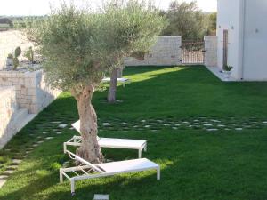 a tree sitting next to a white bench next to a tree at Kinanto Bioresort in Ispica