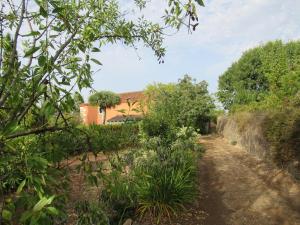 a dirt road with a house in the background at Vivelorural Casa El Balcón, Santa Brígida in Vega de San Mateo