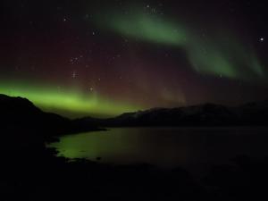 Eine Aurora über einem Wasserkörper in der Nacht in der Unterkunft Midnight-sun and Northern-lights house by ocean in Vestvågøya + 37 Fotos