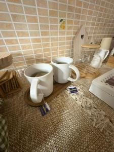 two toilets sitting on a counter in a room at Casa PerlAmbra 