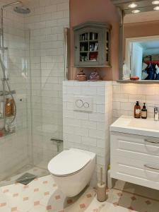 ein Badezimmer mit Toilette und Dusche in der Unterkunft Stone House With Sea View In Katthammarsvik in Katthammarsvik