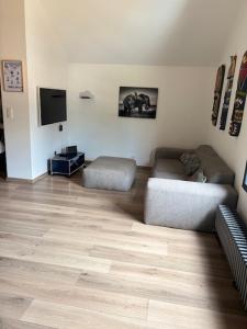 Et tv og/eller underholdning på Duingt, maison 165m2, jardin 8pers