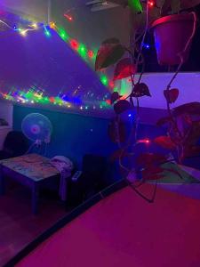 Galería fotográfica de Tents In City Centre en Tiflis