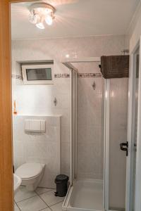 a bathroom with a shower and a toilet and a sink at Studio mit Terrasse bei Frankfurt in Bad Vilbel +21 photos