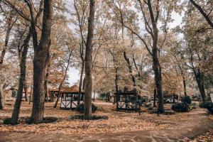 Příroda nedaleko hotelu