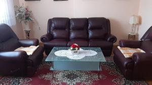 Φωτογραφία από το άλμπουμ του Apartman Martina σε Gospić