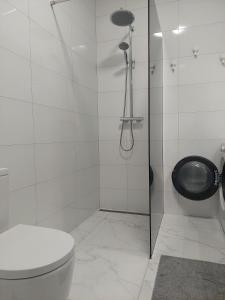 Koupelna v ubytování Pilkų atspalvių apartamentai