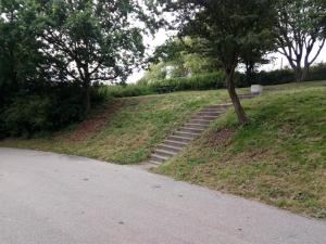 a set of stairs with a tree on a hill at 14 person holiday home in Sjællands Odde in Tjørneholm