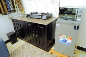 Η κουζίνα ή μικρή κουζίνα στο Lion's Den Studio Apartment near town -A hidden Gem