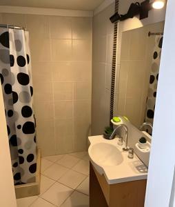 a bathroom with a sink and a shower at Hermoso depto, mts parque, AA y Parking in Villa Marini