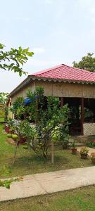 una casa con un árbol delante en Bongheri Homestay, 