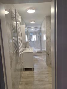 a bathroom with a sink and a shower and a toilet at Studio Apartmani in Rijeka