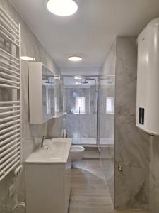Ένα μπάνιο στο Studio Apartmani