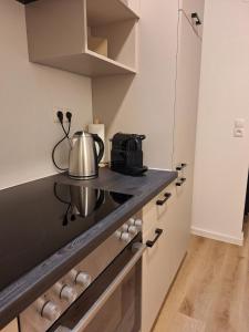 a kitchen with a tea kettle on a counter at Apartment im Stadtzentrum in Steyr
