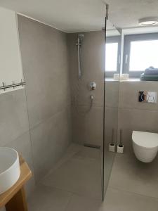 a bathroom with a shower and a toilet and a sink at Rufus' Bergblick in Bernau am Chiemsee