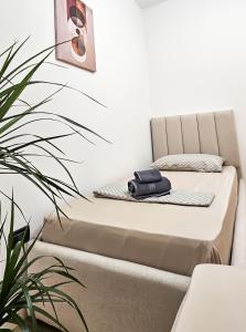 a platform bed in a room with a plant at Tirana Heart Lodge in Tirana