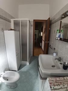 a bathroom with a toilet and a sink at Le Magnolie in Ozzano Monferrato