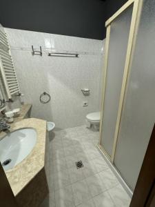 ChiasiéllisにあるVillaのシャワー、洗面台、トイレ付きのバスルーム