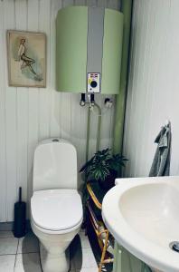 a bathroom with a toilet and a sink at Summer Cottage Idyll In Charming Karrebæksminde! in Karrebæksminde +32 photos