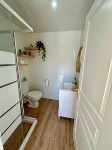 a small bathroom with a toilet and a sink at L'Hacienda Soléa in Culmont