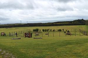 un champ avec clôture et animaux dans un champ dans l'établissement 3 Bed in Rhossili oc-f33389, à Rhossili