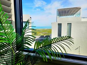 a window with a plant in front of a building at 9 on Winkle Boutique Guesthouse in Cape Town