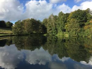 a river with trees reflecting in the water at La Suite d'Ondine in Lobbes