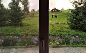 um cavalo pastando em um campo através de uma janela em Cottage Ozerniy em Lazeshchyna