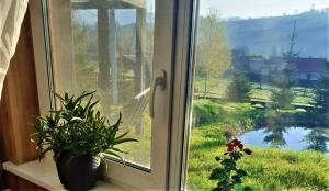 uma janela com um vaso de planta no parapeito da janela em Cottage Ozerniy em Lazeshchyna mais 83 fotografias