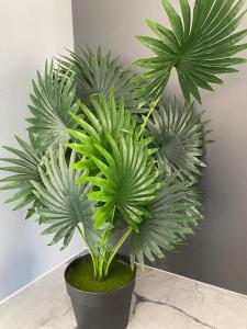 Imagen de la galería de Executive studio apartment near the airport - 2320, en Highlands