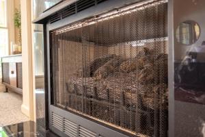 a cage full of birds in a room at Lake Days Getaway in Hillsborough