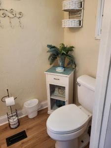 a bathroom with a toilet and a plant on a table at Keystone Direct Lake Front Cottage 2BR in Keystone Heights