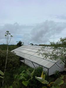 a building with a roof in the middle of a field at Glamping Finca garza del sol in El pilon +26 photos