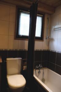 a bathroom with a toilet and a bath tub at Aigles 19 Bajeux Bât 2 in La Clusaz +2 photos