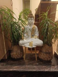 a statue sitting on a table with two plants at Virasat Haveli - A Heritage Boutique Hotel in Sawāi Mādhopur