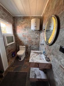 a bathroom with a sink and a mirror and a toilet at Le Relax 