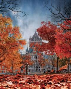 a large building with autumn leaves in front of it at Fairmont Le Chateau Frontenac in Quebec City