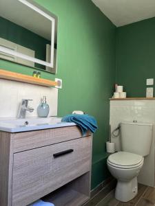 a green bathroom with a toilet and a sink at gîte Loré in Vertus +14 photos